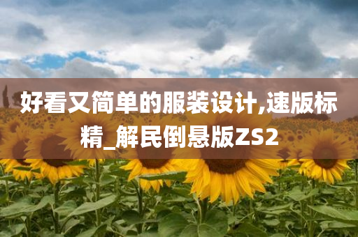 好看又简单的服装设计,速版标精_解民倒悬版ZS2