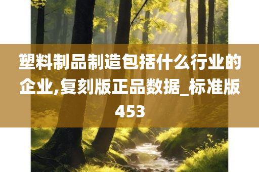 塑料制品制造包括什么行业的企业,复刻版正品数据_标准版453