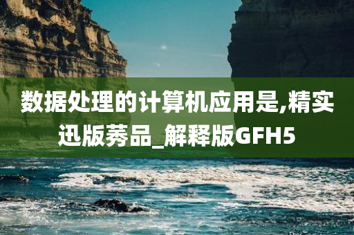 数据处理的计算机应用是,精实迅版莠品_解释版GFH5