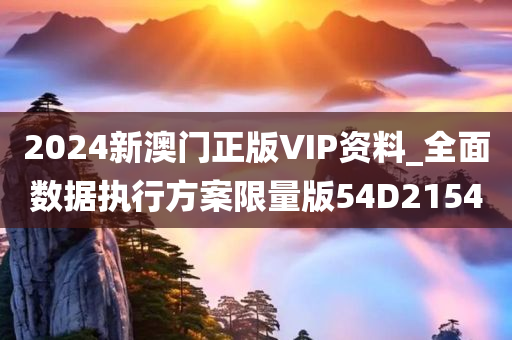 2024新澳门正版VIP资料_全面数据执行方案限量版54D2154