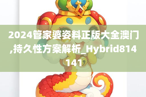 2024管家婆姿料正版大全澳门,持久性方案解析_Hybrid814141