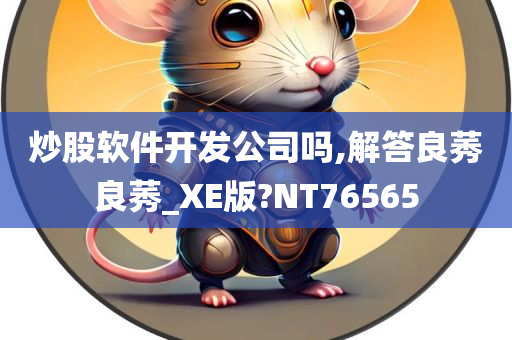 炒股软件开发公司吗,解答良莠良莠_XE版?NT76565