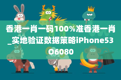 香港一肖一码100%准香港一肖_实地验证数据策略iPhone53O6080