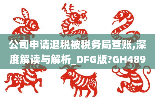 公司申请退税被税务局查账,深度解读与解析_DFG版?GH489