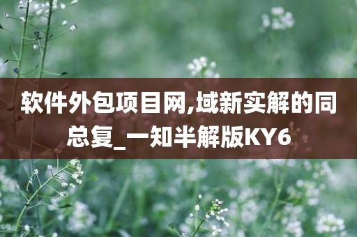 软件外包项目网,域新实解的同总复_一知半解版KY6