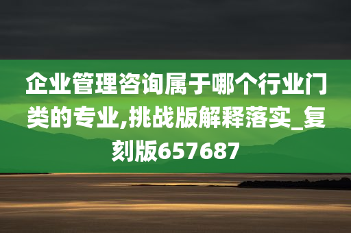 企业管理咨询属于哪个行业门类的专业,挑战版解释落实_复刻版657687