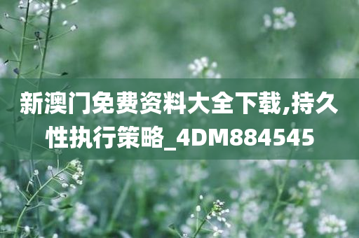 新澳门免费资料大全下载,持久性执行策略_4DM884545