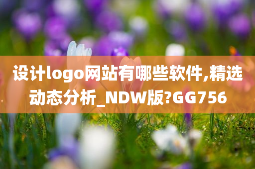 设计logo网站有哪些软件,精选动态分析_NDW版?GG756