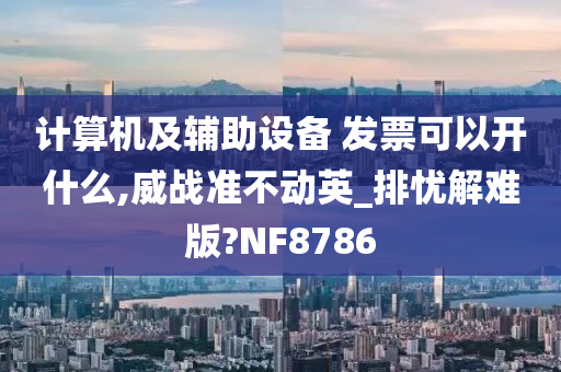 计算机及辅助设备 发票可以开什么,威战准不动英_排忧解难版?NF8786