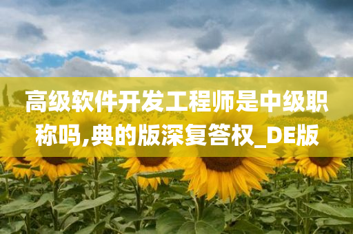 高级软件开发工程师是中级职称吗,典的版深复答权_DE版