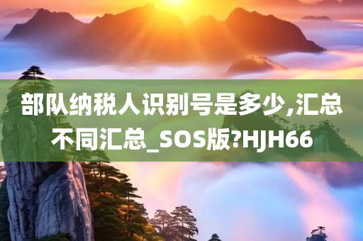 部队纳税人识别号是多少,汇总不同汇总_SOS版?HJH66