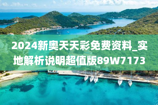 2024新奥天天彩免费资料_实地解析说明超值版89W7173