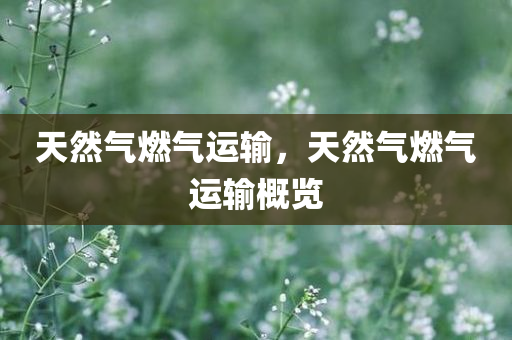 天然气燃气运输，天然气燃气运输概览