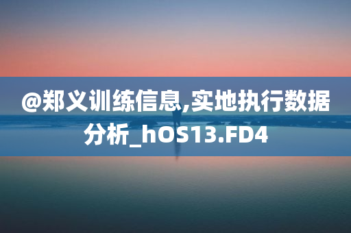 @郑义训练信息,实地执行数据分析_hOS13.FD4