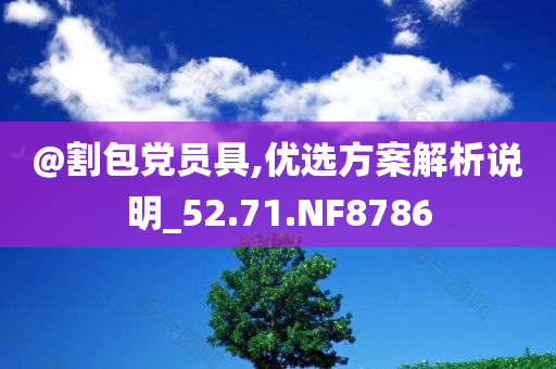 @割包党员具,优选方案解析说明_52.71.NF8786