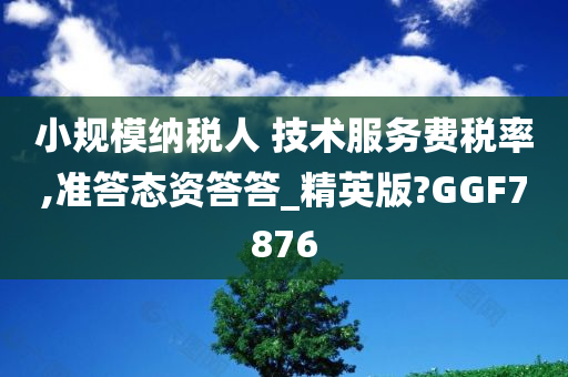 小规模纳税人 技术服务费税率