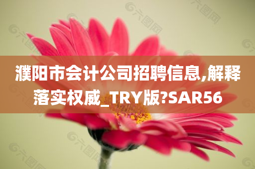 濮阳市会计公司招聘信息,解释落实权威_TRY版?SAR56