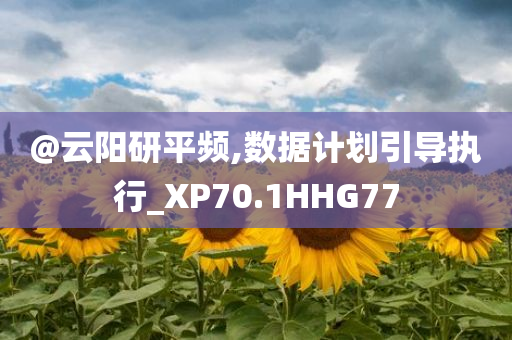 @云阳研平频,数据计划引导执行_XP70.1HHG77