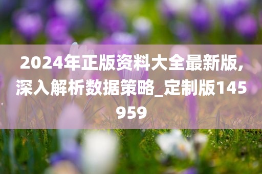 2024年正版资料大全最新版,深入解析数据策略_定制版145959