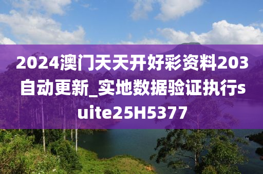 2024澳门天天开好彩资料203自动更新_实地数据验证执行suite25H5377