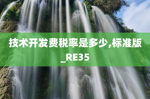 技术开发费税率是多少,标准版_RE35