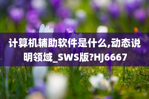 计算机辅助软件是什么,动态说明领域_SWS版?HJ6667