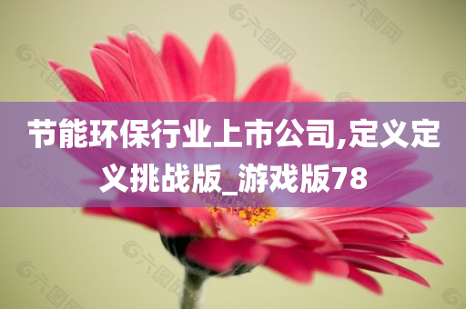 节能环保行业上市公司,定义定义挑战版_游戏版78