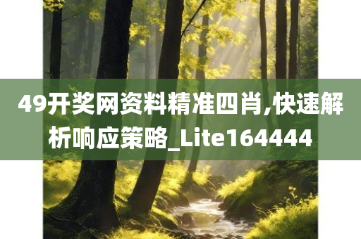 49开奖网资料精准四肖,快速解析响应策略_Lite164444