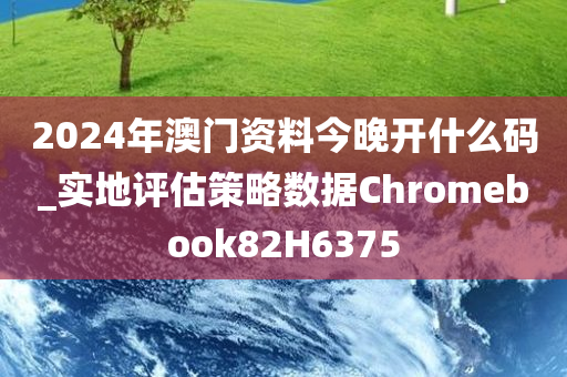 2024年澳门资料今晚开什么码_实地评估策略数据Chromebook82H6375