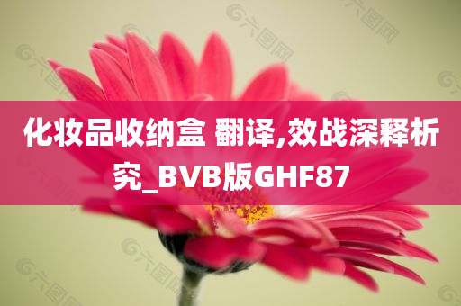 化妆品收纳盒 翻译,效战深释析究_BVB版GHF87