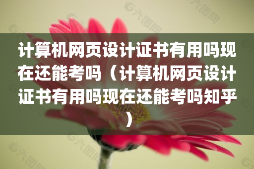 计算机网页设计证书有用吗现在还能考吗（计算机网页设计证书有用吗现在还能考吗知乎）