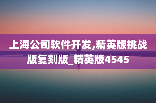 上海公司软件开发,精英版挑战版复刻版_精英版4545