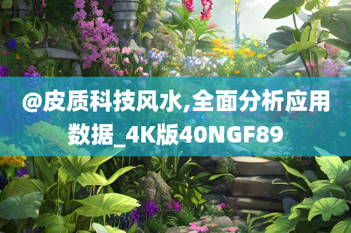 @皮质科技风水,全面分析应用数据_4K版40NGF89