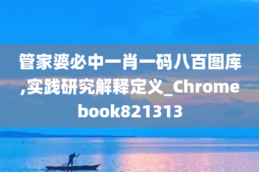 管家婆必中一肖一码八百图库,实践研究解释定义_Chromebook821313