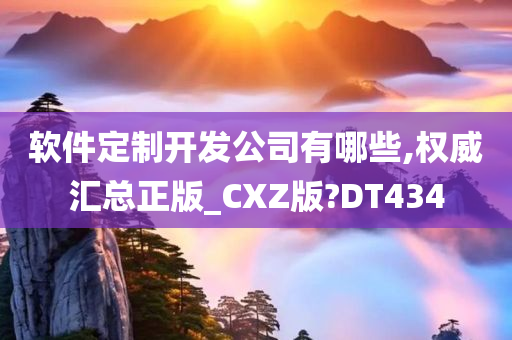 软件定制开发公司有哪些,权威汇总正版_CXZ版?DT434