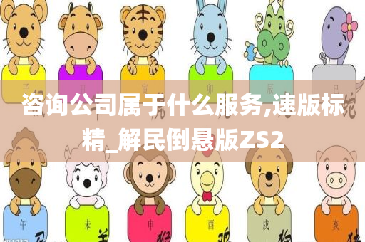 咨询公司属于什么服务,速版标精_解民倒悬版ZS2