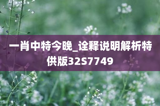 一肖中特今晚_诠释说明解析特供版32S7749