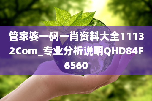 管家婆一码一肖资料大全11132Com_专业分析说明QHD84F6560