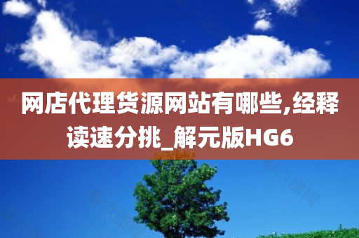 网店代理货源网站有哪些,经释读速分挑_解元版HG6