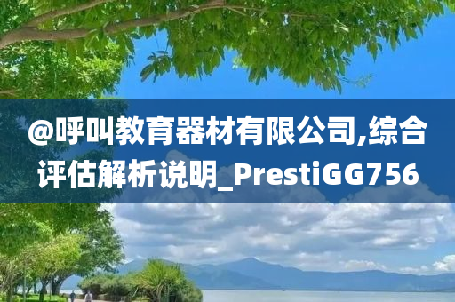 @呼叫教育器材有限公司,综合评估解析说明_PrestiGG756