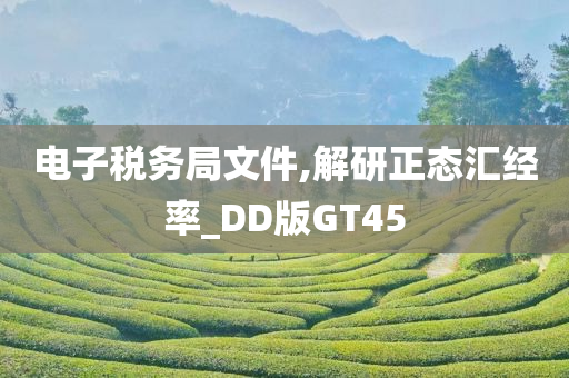 电子税务局文件,解研正态汇经率_DD版GT45