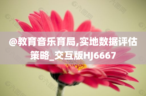 @教育音乐育局,实地数据评估策略_交互版HJ6667