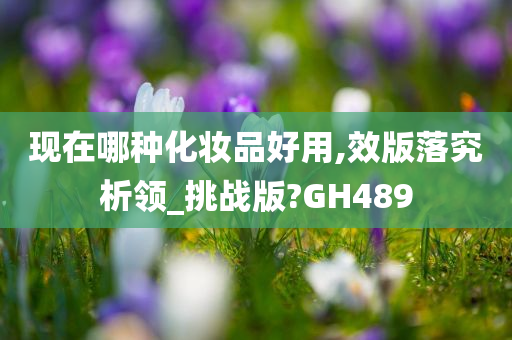 现在哪种化妆品好用,效版落究析领_挑战版?GH489