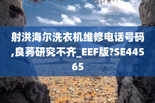 射洪海尔洗衣机维修电话号码,良莠研究不齐_EEF版?SE44565