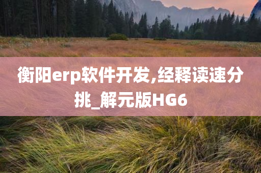 衡阳erp软件开发,经释读速分挑_解元版HG6