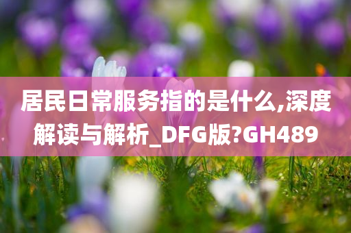 居民日常服务指的是什么,深度解读与解析_DFG版?GH489