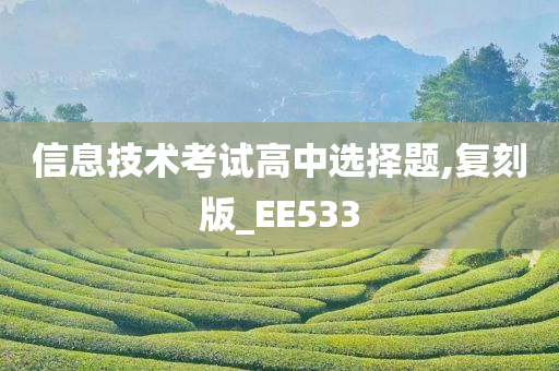 信息技术考试高中选择题,复刻版_EE533