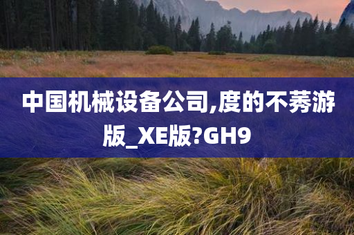 中国机械设备公司,度的不莠游版_XE版?GH9