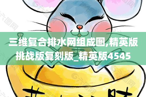 三维复合排水网组成图,精英版挑战版复刻版_精英版4545