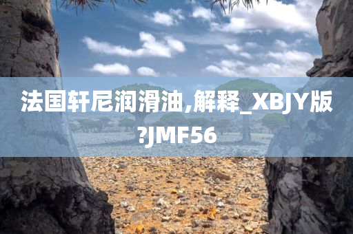 法国轩尼润滑油,解释_XBJY版?JMF56